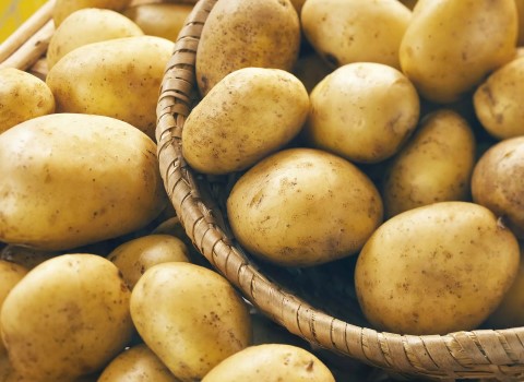 خرید و قیمت سیب زمینی غرب تهران + فروش عمده